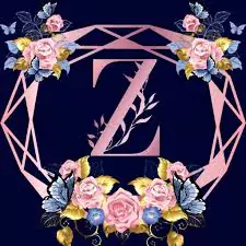 hand z name dp